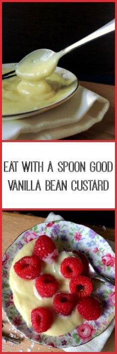 vanilla_custard